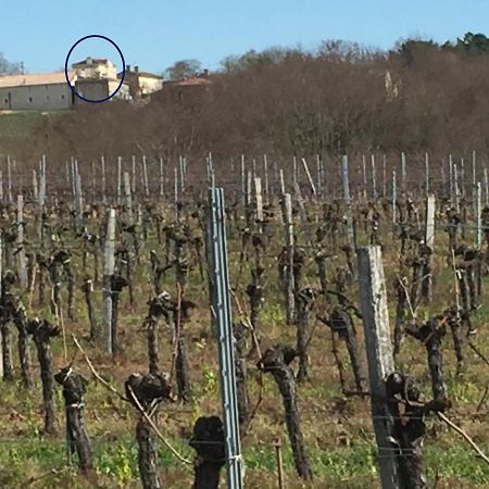 Superbe Gite A La Campagne Dans Le Bordelais Saint-Vivien-de-Blaye Exteriér fotografie